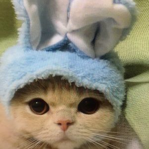 Meet your Posher, Brenna